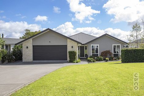 Photo of property in 65 Kaipara Portage Road, Riverhead, 0820
