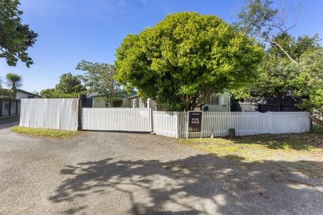 Photo of property in 46b Te Rauparaha Street, Otaki, 5512