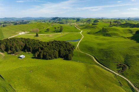 Photo of property in 385 Whirinaki Valley Road, Ngakuru, Rotorua, 3077