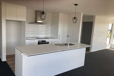 Photo of property in 24 Halpin Drive, Lincoln, 7608