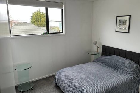 Photo of property in 17 Bings Lane, Richmond, Christchurch, 8013
