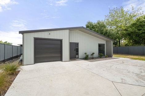 Photo of property in 44 Plains Avenue, Masterton, 5810