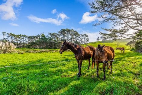 Photo of property in 276 Taiapa Road, Muriwai, 0881