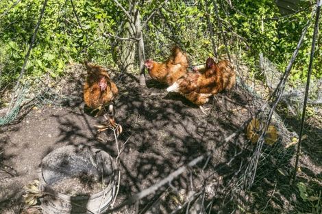 Photo of property in 90 Curtis Street, Northland, Wellington, 6012