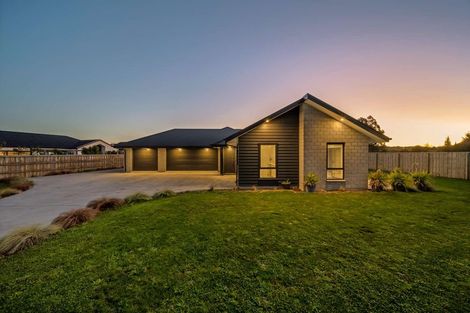 Photo of property in 1 Harrier Place, Amberley, 7410