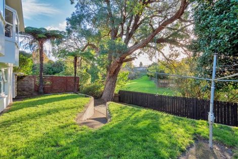 Photo of property in 25 Moloney Terrace, Pukekohe, 2120