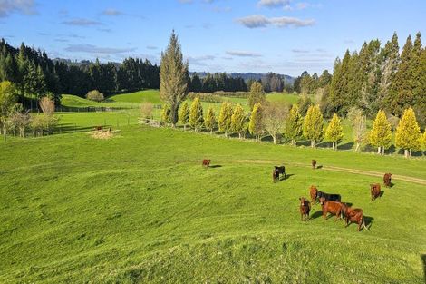 Photo of property in 94 Oturoa Road, Hamurana, 3072