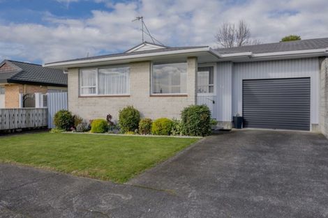 Photo of property in 78 Winchester Street, Levin, 5510