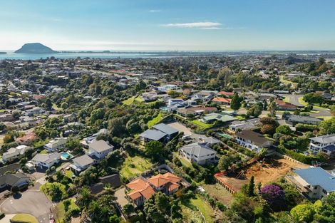 Photo of property in 16 Dysart Road, Otumoetai, Tauranga, 3110