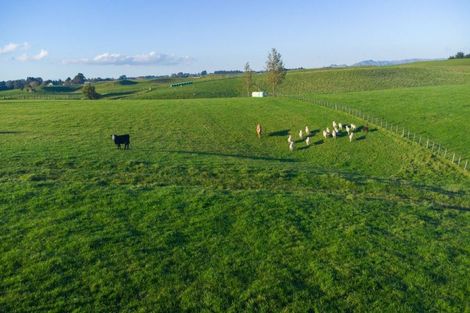 Photo of property in 180 Tipapakuku Road, Dannevirke, 4930
