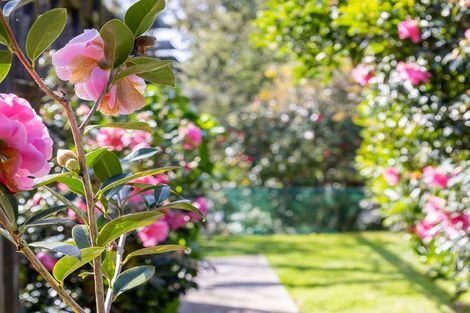 Photo of property in 256 Mill Road, Otaki, 5512