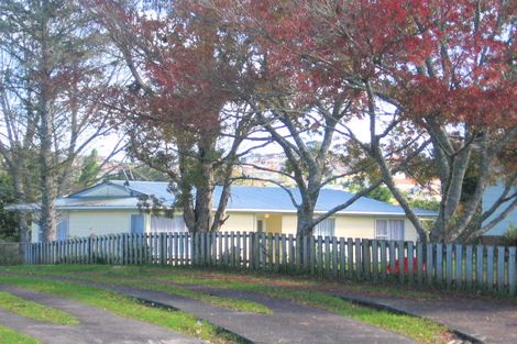 Photo of property in 54 Coburg Street, Henderson, Auckland, 0612