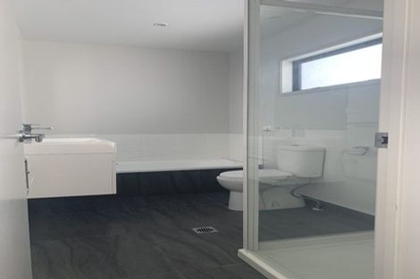 Photo of property in 195u1 Massey Street, Frankton, Hamilton, 3204