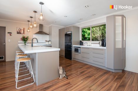 Photo of property in 1 Watt Street, Mosgiel, 9024