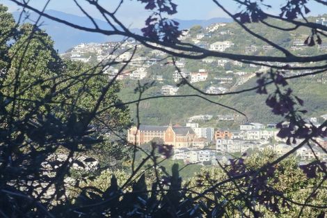 Photo of property in 64 Salamanca Road, Kelburn, Wellington, 6012