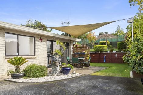 Photo of property in 175 Te Hono Street, Maungatapu, Tauranga, 3112