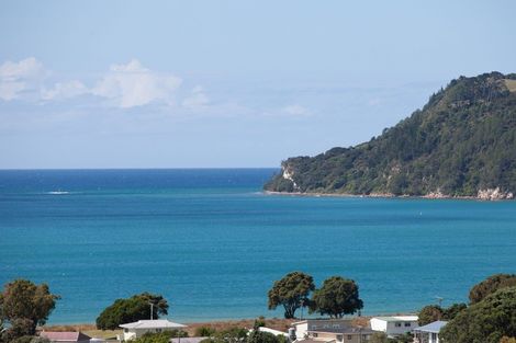 Photo of property in 925a Purangi Road, Cooks Beach, Whitianga, 3591