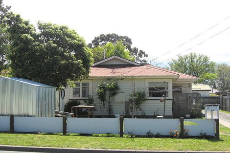Photo of property in 58 Rogers Street, Blenheim, 7201