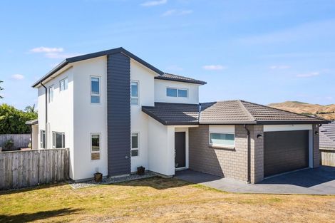 Photo of property in 37 Nelson Avenue, Aotea, Porirua, 5024