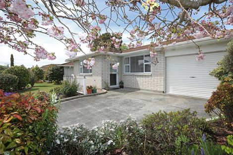 Photo of property in 47 Skerman Street, Marton, 4710