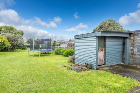 Photo of property in 407 Raikes Avenue, Te Awamutu, 3800