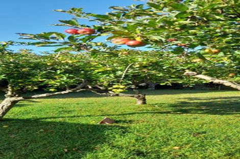 Photo of property in 190 Gleeson Road, Pollok, Waiuku, 2683
