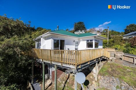 Photo of property in 37 Birchfield Avenue, North East Valley, Dunedin, 9010