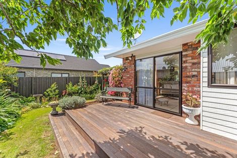 Photo of property in 147 Redwood Street, Redwoodtown, Blenheim, 7201