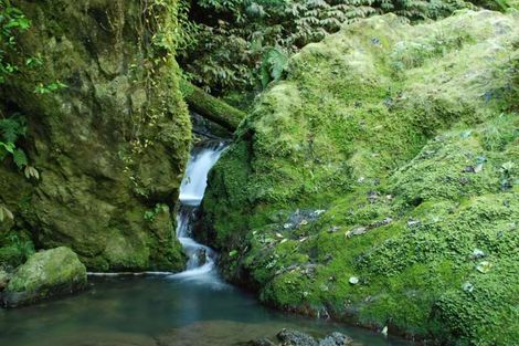 Photo of property in 114 Hay Road, Helena Bay, Hikurangi, 0184