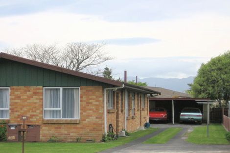 Photo of property in 48b Rawhiti Avenue, Matamata, 3400