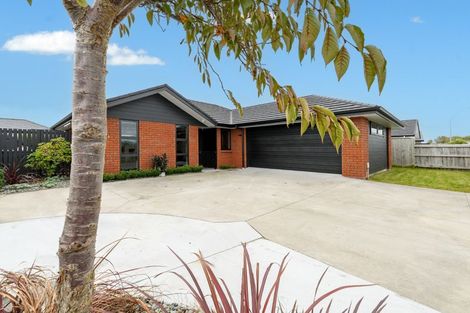 Photo of property in 209 Te Okuroa Drive, Papamoa, 3118