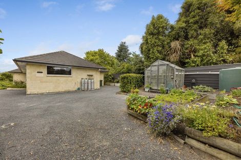 Photo of property in 7 Sandhead Street, Waihola, Milton, 9073