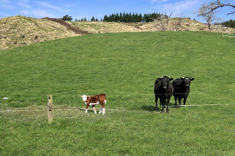 Photo of property in 3005 State Highway 30, Rotoma, Whakatane, 3192
