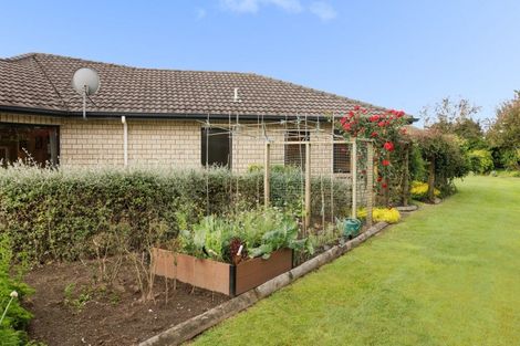 Photo of property in 6r Jason Place, Pyes Pa, Tauranga, 3112