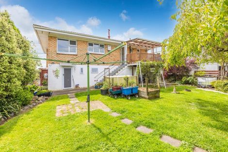 Photo of property in 490 Park Road, Te Awamutu, 3800