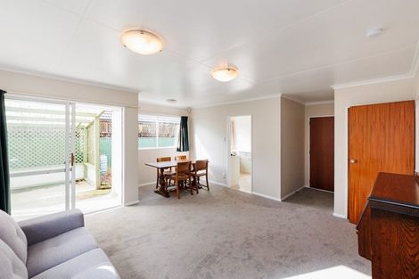 Photo of property in 495a1 Ferguson Street, Palmerston North, 4410