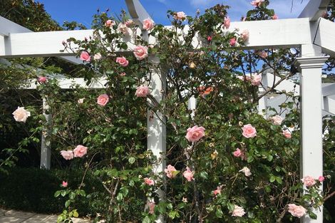 Photo of property in 45 The Crescent, Roseneath, Wellington, 6011