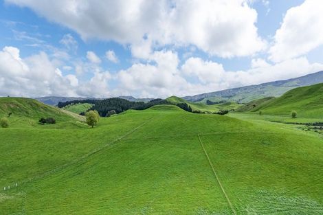 Photo of property in 437 Pinfold Road, Papatawa, 4998