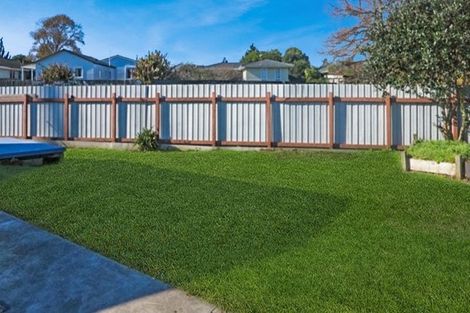 Photo of property in 6 Hinau Road, Mangere Bridge, Auckland, 2022