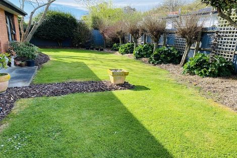 Photo of property in 17b William Street, Lincoln, 7608