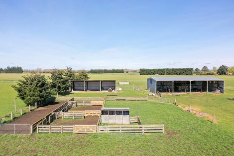 Photo of property in 155 Fords Road, Tinwald, Ashburton, 7773