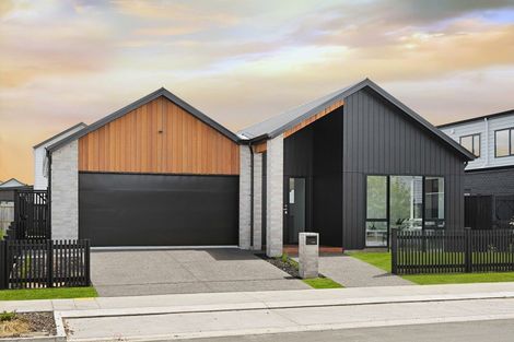 Photo of property in 19 Gaylard Avenue, Chartwell, 3210