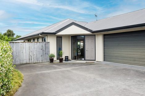 Photo of property in 801a Duke Street, Mahora, Hastings, 4120
