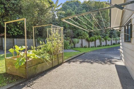 Photo of property in 3 Queen Street, Cambridge, 3434