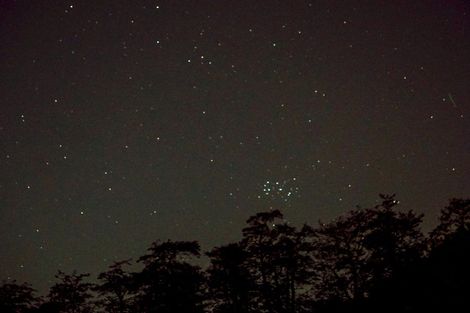 Photo of property in 22a Martin Place, Whakatane, 3120