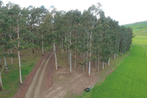 Photo of property in 114a Coal Pit Road, Enfield, Oamaru, 9491