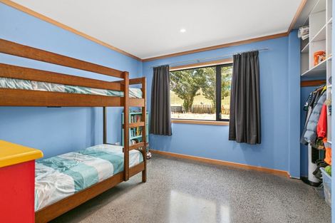 Photo of property in 580 Ongaonga Road, Waipawa, 4272