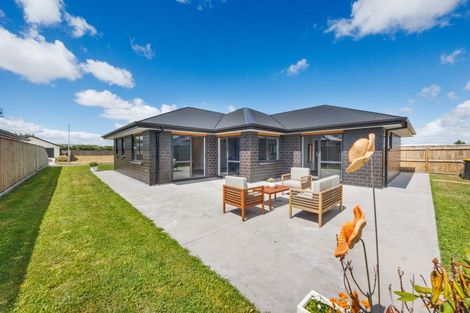 Photo of property in 43 Accolade Street, Feilding, 4702