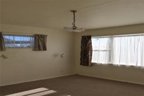 Photo of property in 45 Graham Street, Levin, 5510