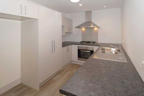 Photo of property in 193u4 Massey Street, Frankton, Hamilton, 3204